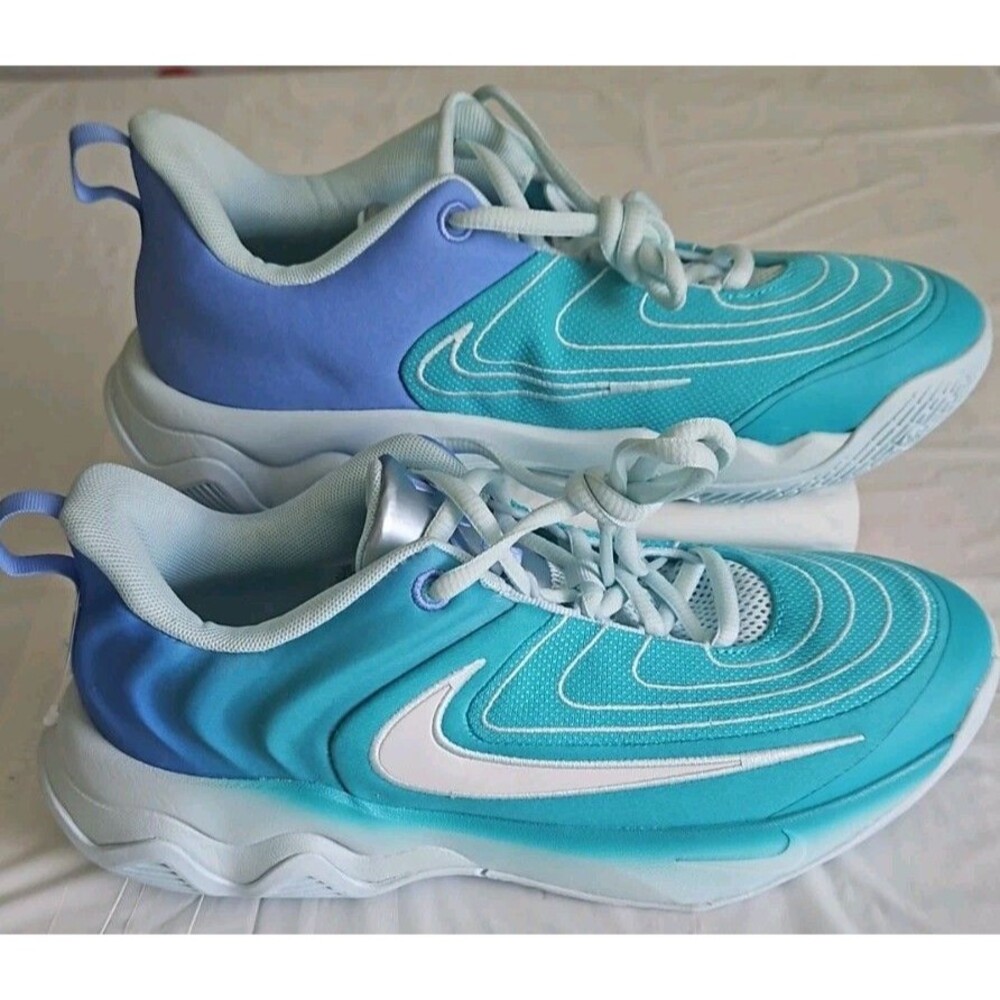 Nike Giannis Immortality 4 Basketball Shoes Dusty Cactus FQ3680-300 Men Size 9.5